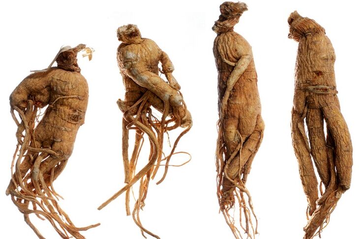 Racine de ginseng pour l'agrandissement du pénis